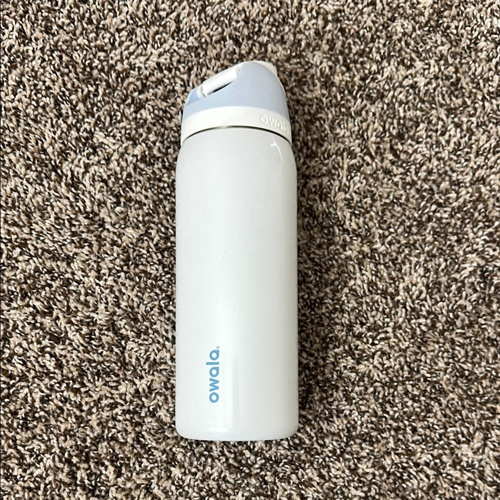 Owala Water Bottle- Snow Globe